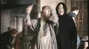 Man With Beard Next To Man In Black Robe GIF