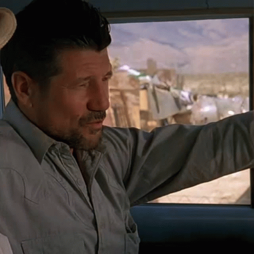Man With Beard Pointing Out Car Window GIF