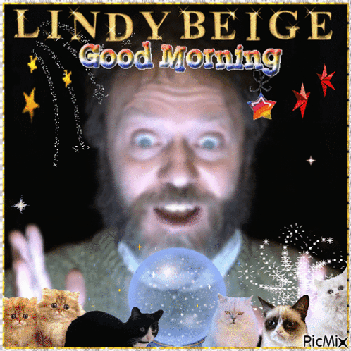 Man With Beard Surrounded by Grumpy Cats Says Good Morning Lindy Beige