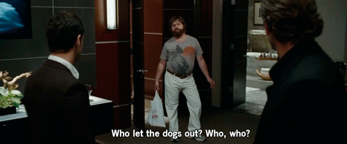 Man With Beard Talking To Another Man GIF