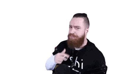 Man with Beard Wearing Hi Shirt