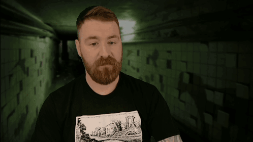 Man with Beard Wearing Makes Perfect Sense Shirt