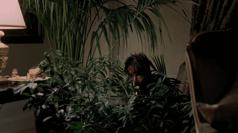 Man With Bloody Head Surrounded by Plants and Lamp