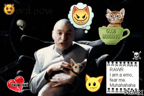 Man with Cat and Good Morning Cup