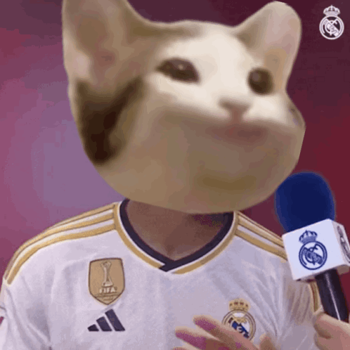 Man With Cat Head Holding Microphone in FIFA Shirt