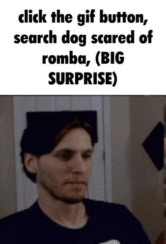 Man With Click the Gif Button Search Dog Scared of Romba