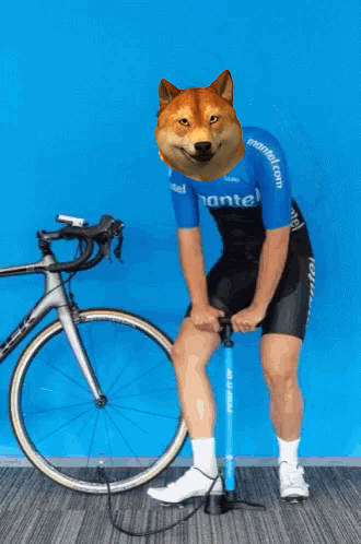 Man With Dog Head Pumping Tire Next To Bike GIF