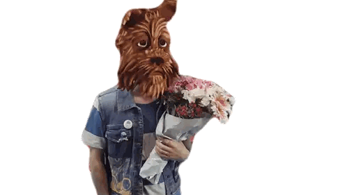 Man With Dog Mask and Flowers