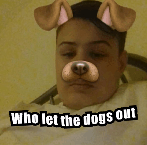 Man With Dog Mask And Who Let The Dogs Out GIF