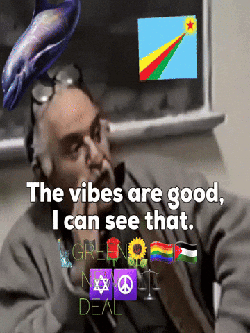 Man With Dolphin On Head Saying The Vibes Are Good I Can See That GIF