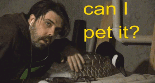 Man With Ear Buds Asking to Pet Goose