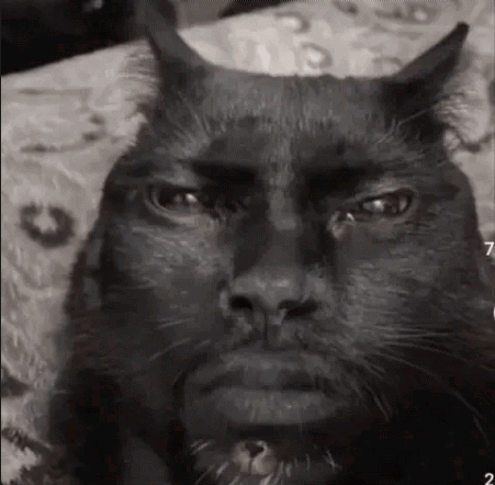 Man With False Eyelashes My Honest Reaction GIF