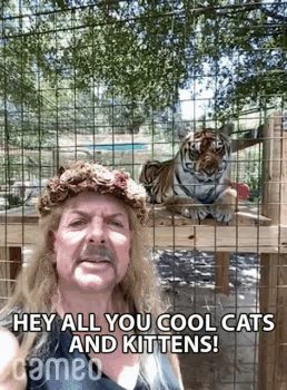 Man with Flower Crown Next to Tiger