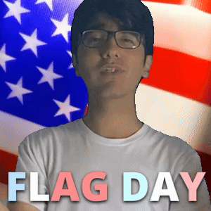 Man With Glasses American Flag Flag Day GIF
