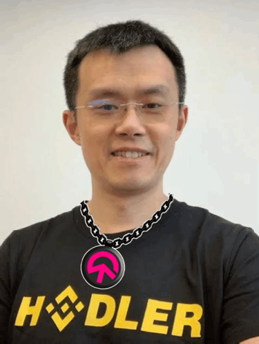 Man With Glasses And Hodler Shirt GIF