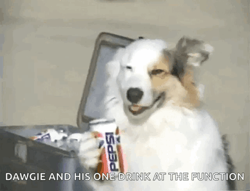 Man With Glasses And Hoodie Sitting At Microphone GIF