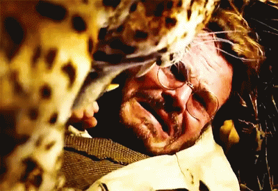 Man With Glasses And Leopard On Head GIF