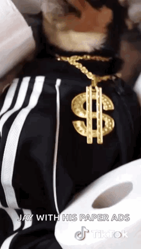 Man With Gold Dollar Sign Necklace Next to Toilet Paper Roll