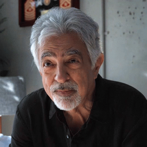 Man With Gray Hair and Beard Looks at Camera