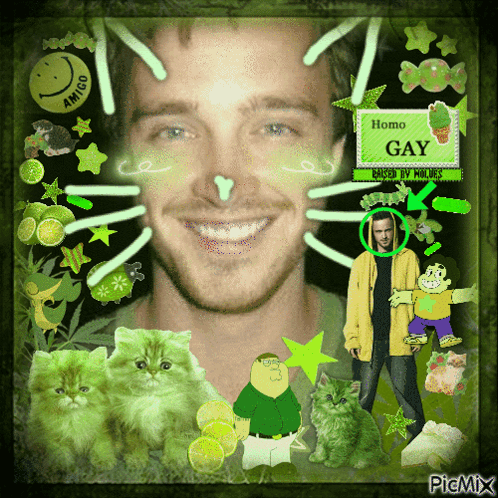 Man With Green Cats And Homo Gay Sign GIF