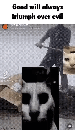 Man With Hammer, Cat, And Box GIF