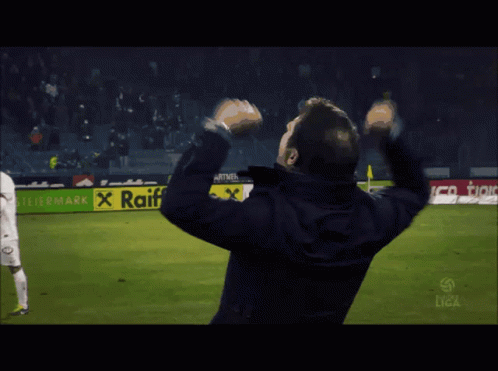 Man With Hands in Air on Soccer Field