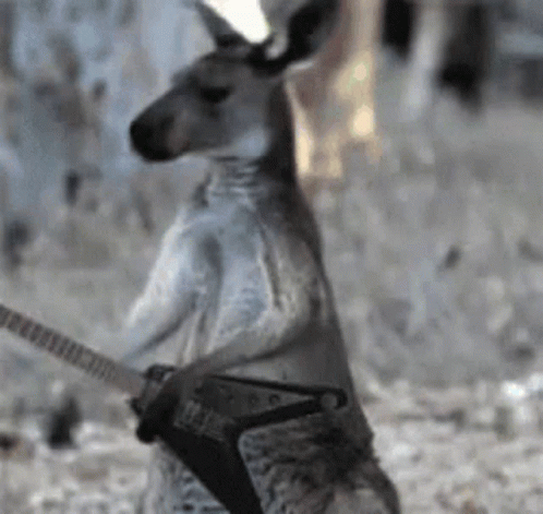 Man With Headphones and Scarf Got My Money on Australia