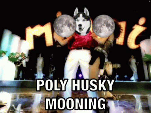Man With Husky on Head Dancing in Front of Poly Husky Mooning Sign