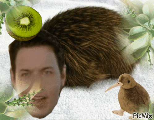 Man With Kiwi On Head And Kiwi Bird GIF