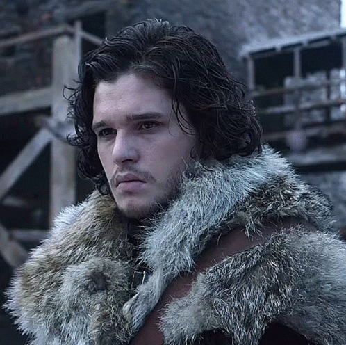 Man With Long Hair And Beard In Fur Coat GIF