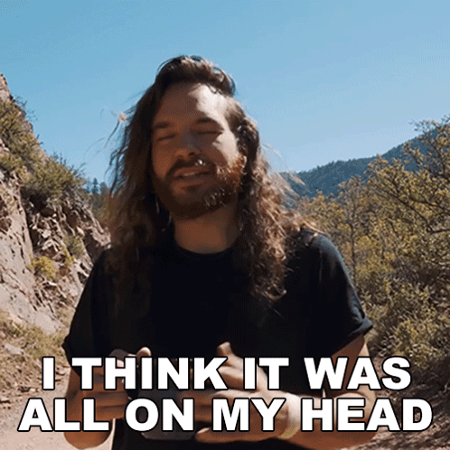 Man With Long Hair And Beard Saying I Think It Was All On My Head GIF