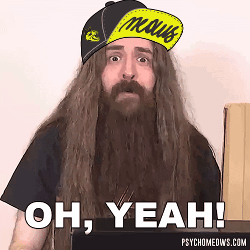 Man With Long Hair And Beard Wearing Mous Hat GIF