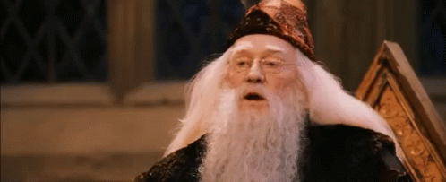 Man With Long White Hair And Beard GIF
