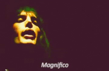 Man With Magnifico GIF