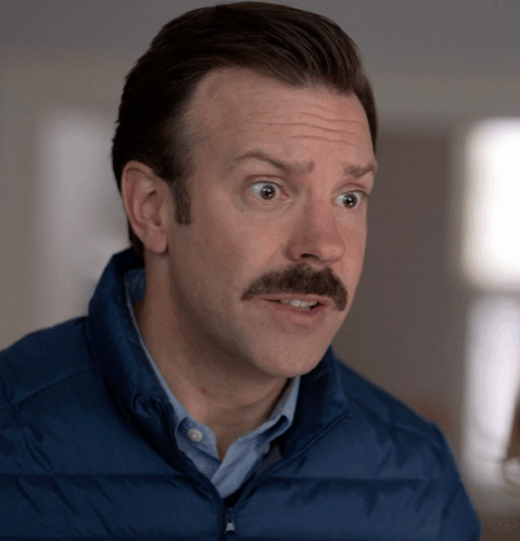 Man With Mustache In Blue Vest GIF