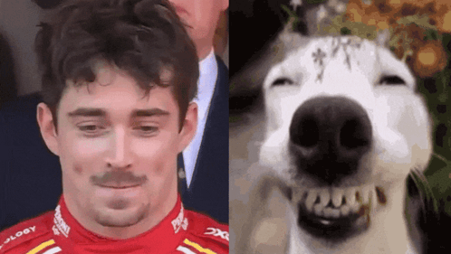 Man With Mustache Next to Dog With Eyes Closed
