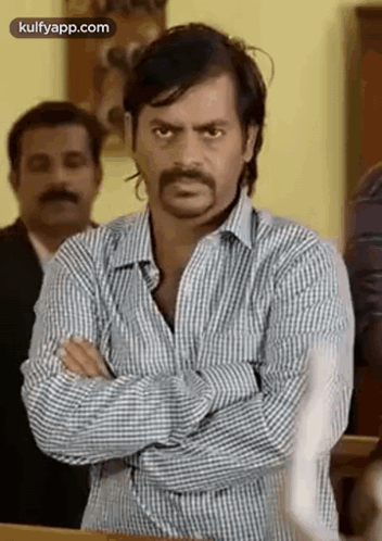 Man With Mustache Plaid Shirt Arms Crossed GIF
