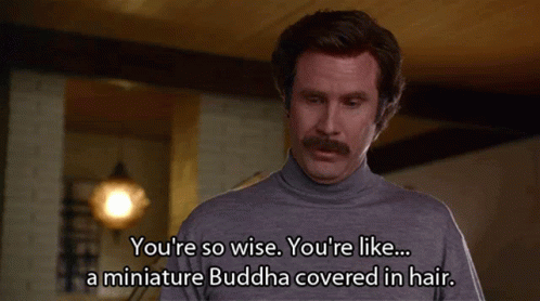 Man with Mustache Saying You're So Wise