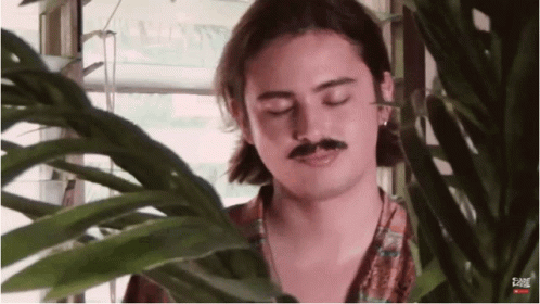 Man With Mustache Standing By Window GIF