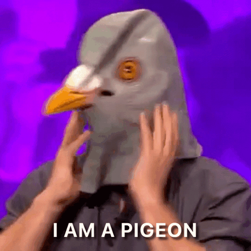 Man with Pigeon Mask Says I Am a Pigeon