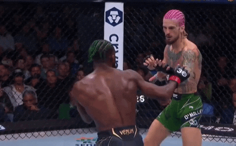 Man With Pink Hair Boxing Another Man