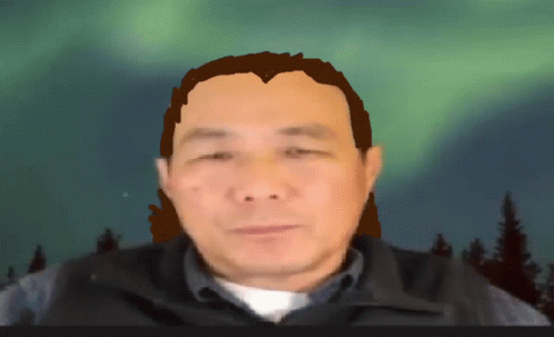 Man with Ponytail in Front of Northern Lights