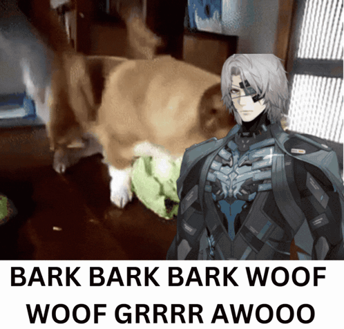 Man With Scarf Saying Dont Bark at Me You Dog