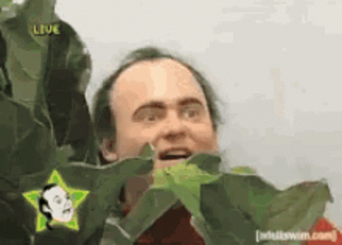 Man With Star on Head Surrounded by Leaves and Leve Sign