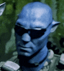 Man With Sunglasses GIF