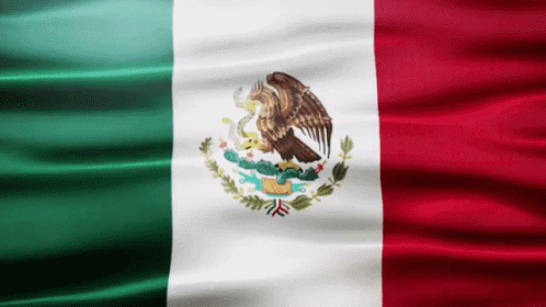 Man With Sunglasses and Wig Mexican Flag