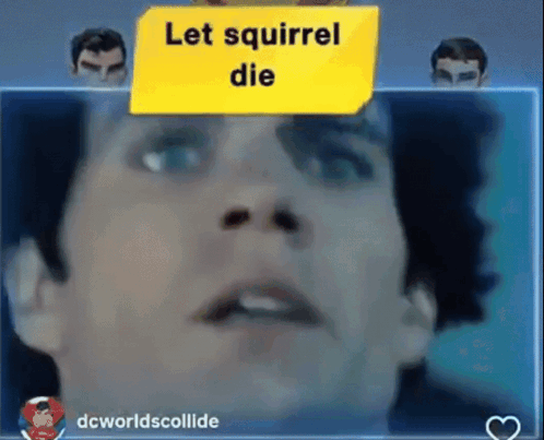 Man With Yellow Sign Let Squirrel Die