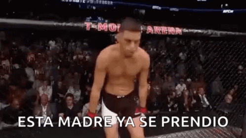 Man Without Shirt in Cage UFC Match