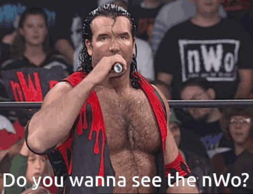 Man Wrestling Ring Do You Wanna See the NWO