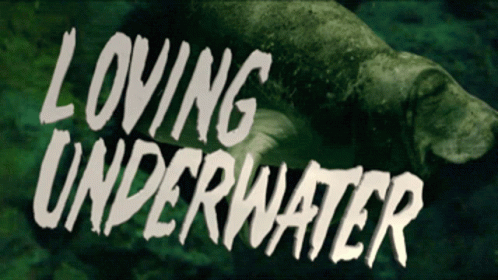 Manatee Loving Underwater GIF